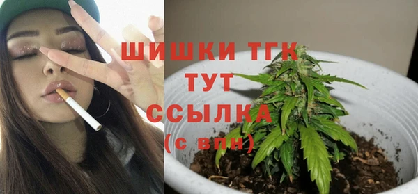 a pvp Гусев