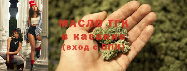 амф Гусь-Хрустальный
