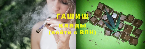 амф Гусь-Хрустальный