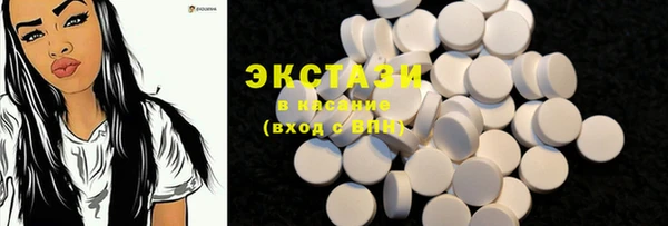 амф Гусь-Хрустальный