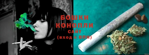 амф Гусь-Хрустальный