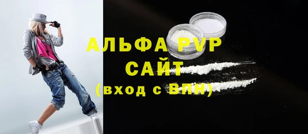 амф Гусь-Хрустальный