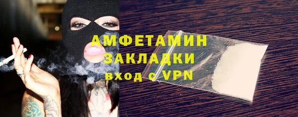 амф Гусь-Хрустальный