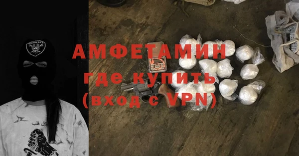 амф Гусь-Хрустальный