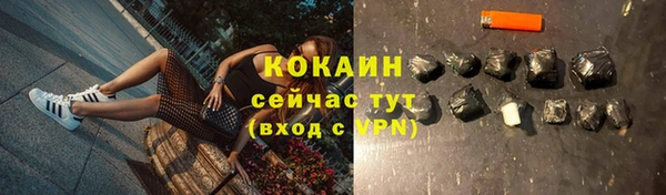 a pvp Гусев